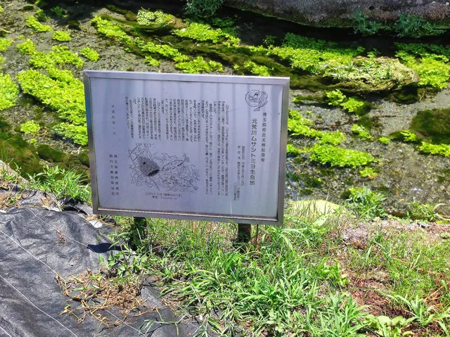 モトアラカワムサシトミヨセイソクチ