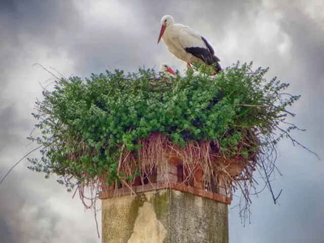 Oasi naturalistica dei Quadris