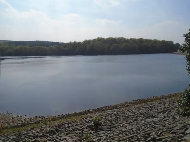 Rake Brook Reservoir