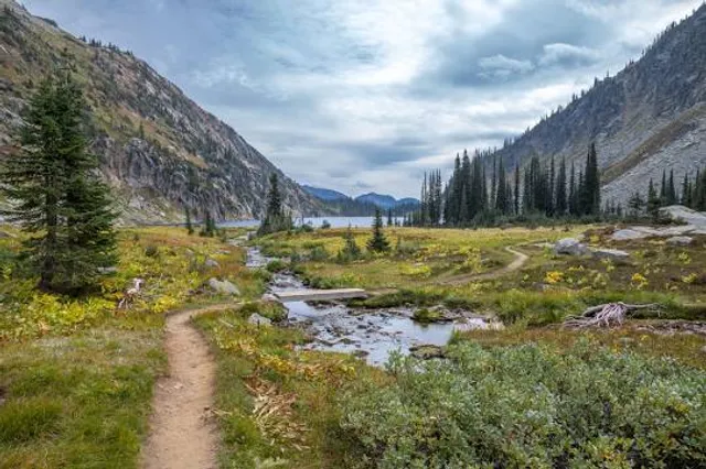 Area D (Lardeau Valley/Duncan Lake)