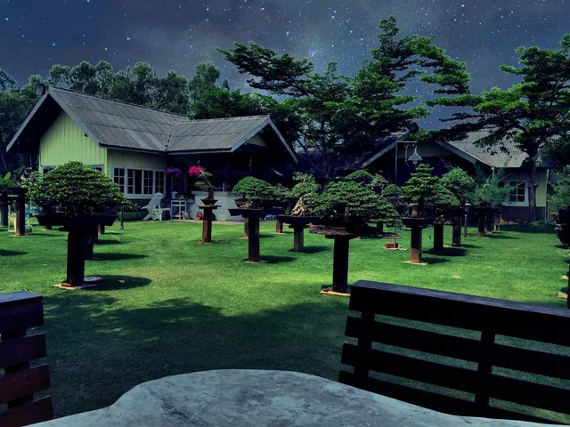 18 Bonsai Garden Resort