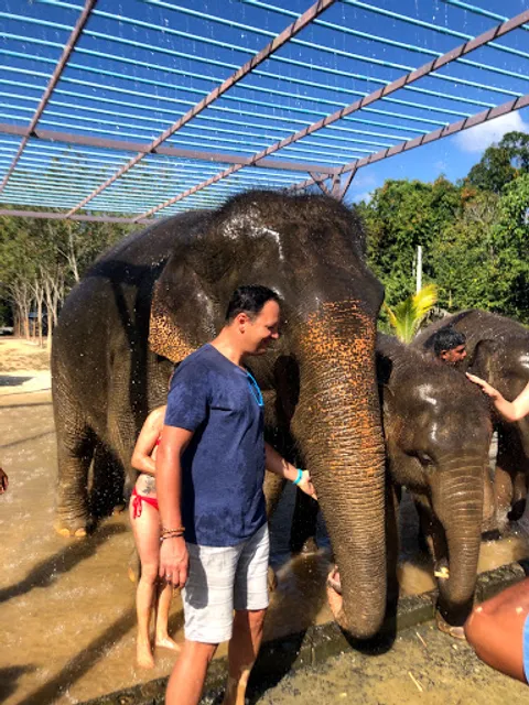 Elephant Retirement Park Phuket