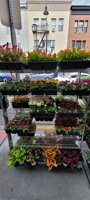 Novick Paint and Hardware