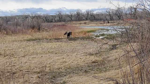 River Valley Wilderness Park