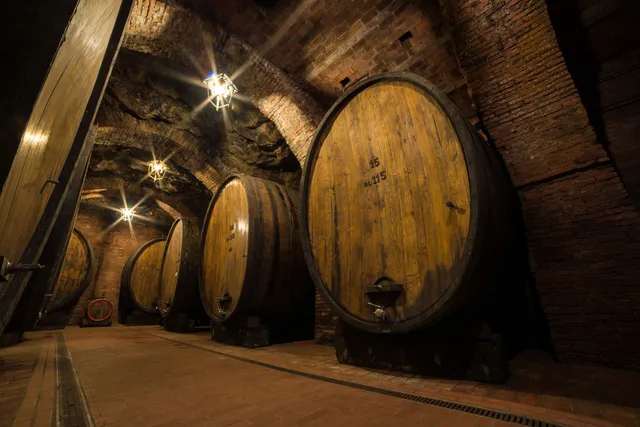 Talosa - Cantina Storica