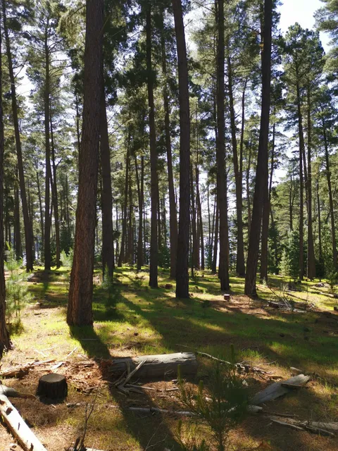 Myponga Reservoir Reserve