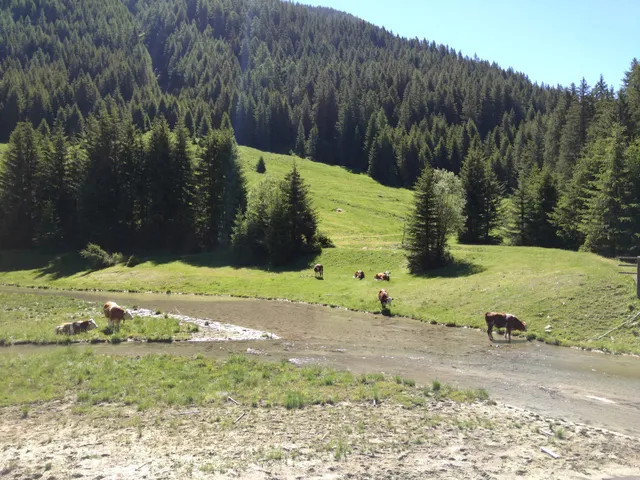 Sentiero dello Scoiattolo