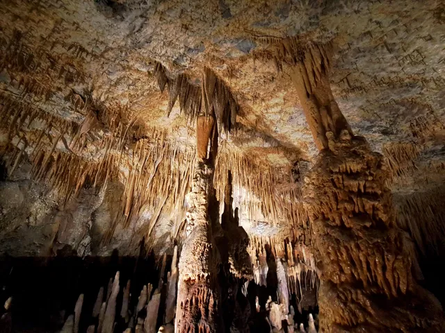 Municipality of Tripoli