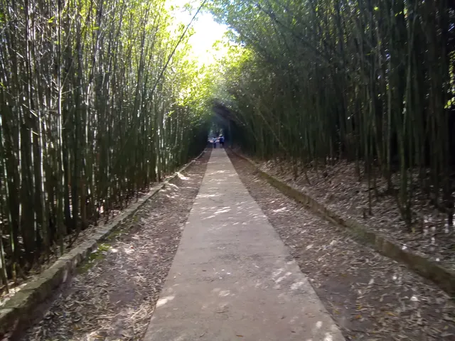 Parque Ecológico Eugênio Walter