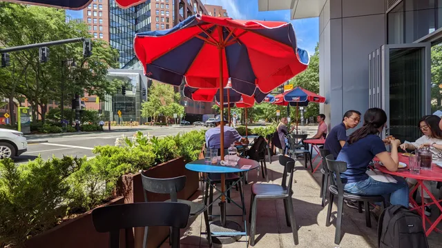 Shy Bird - Kendall Square