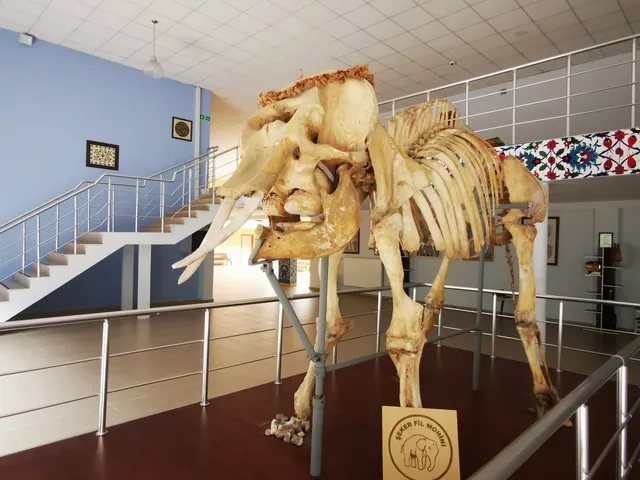 Prof. Dr. Ali DEMİRSOY Doğa Tarihi Müzesi