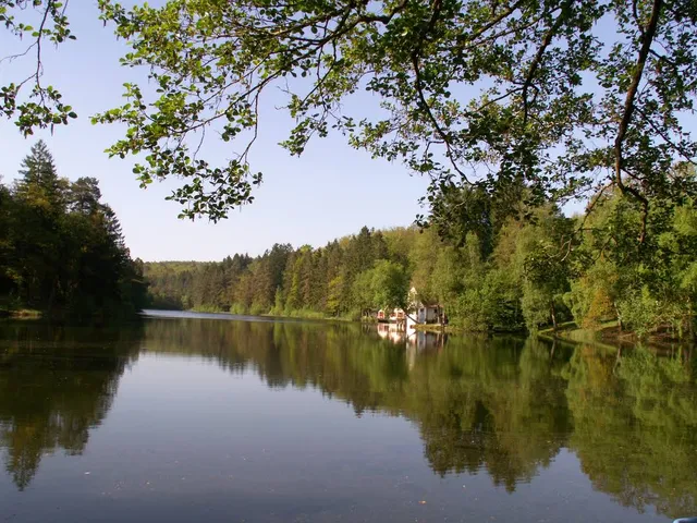 Étang d'Hasselfurth