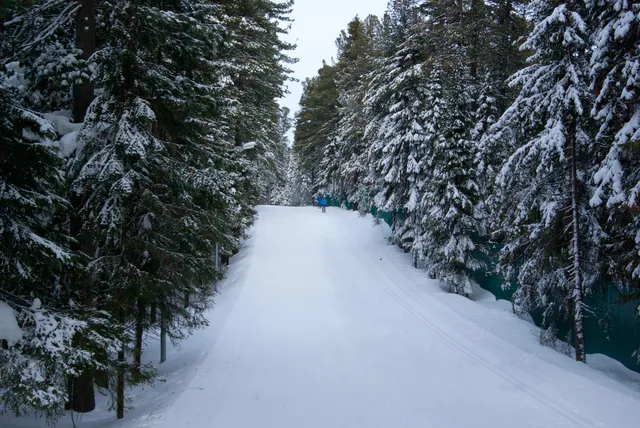 Tsentr Zimnikh Vidov Sporta Im. A.v. Filipenko