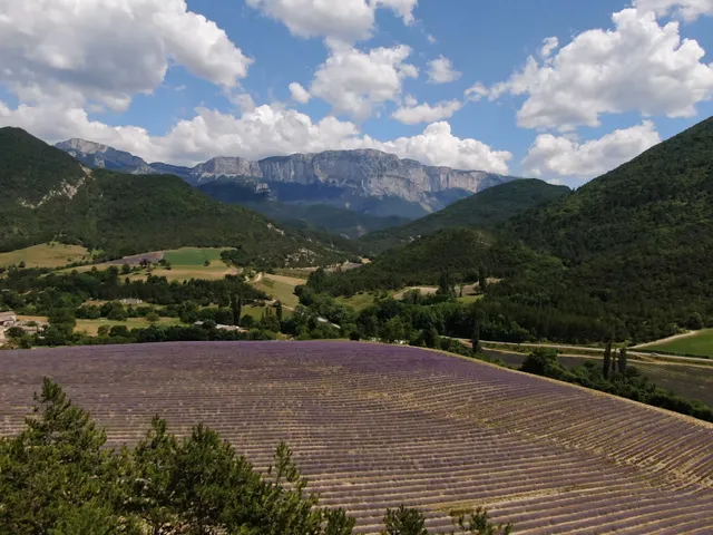 Distillery 4 Vallées, Distillerie De Lavande