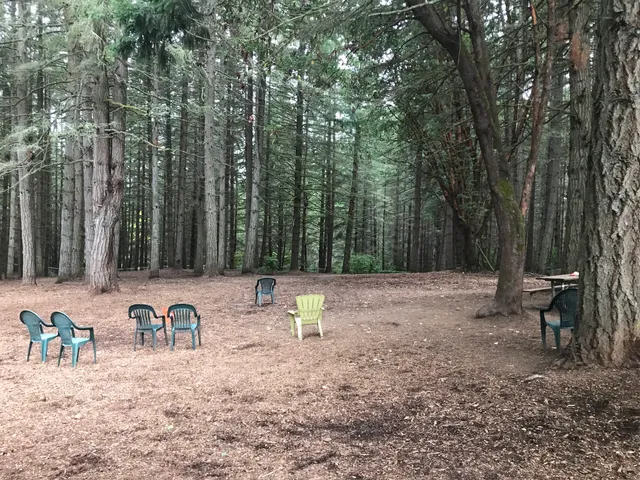 Strawberry Hill Park / Off-leash Dog Park