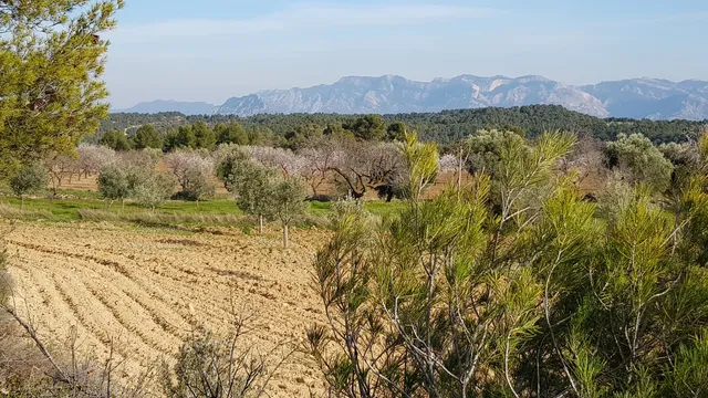 Ruta de los túmulos funerarios ibéricos del Matarraña