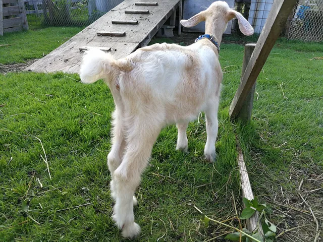 Denkuu no Eki Haaso Park