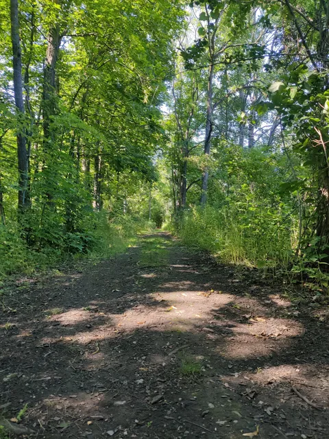 Shagbark Nature Park