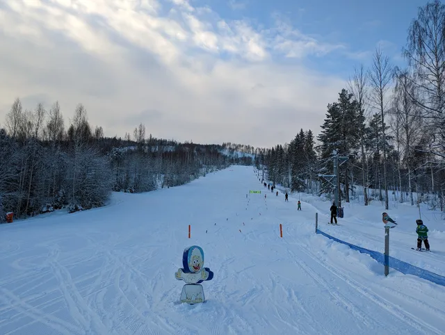 Hassela Ski Resort AB