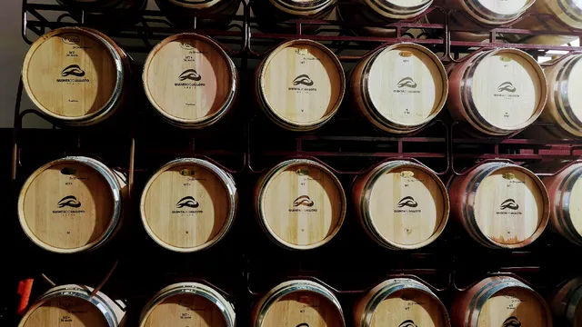 Quinta do Jalloto - Family vineyards