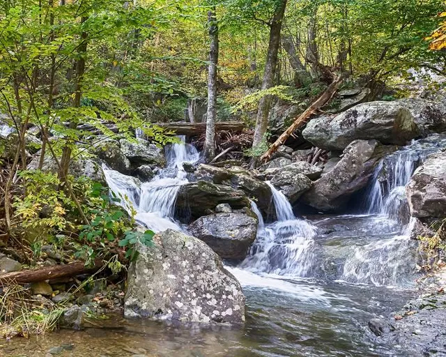 Whiteoak Canyon Falls Upper Trailhead