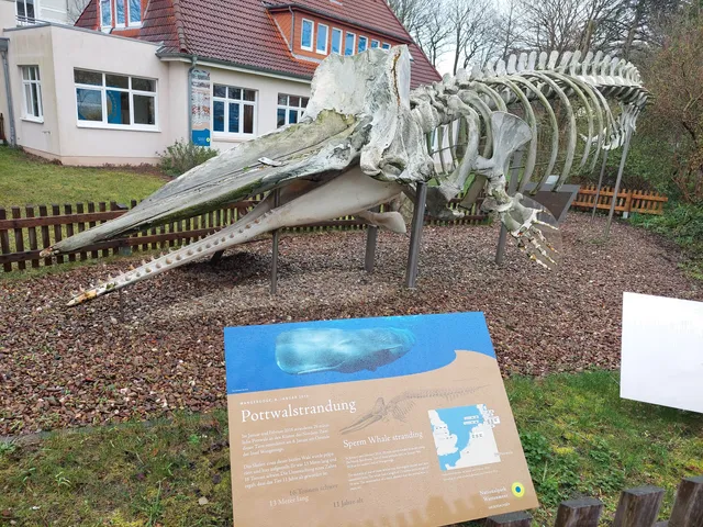 Nationalpark-Haus Wangerooge