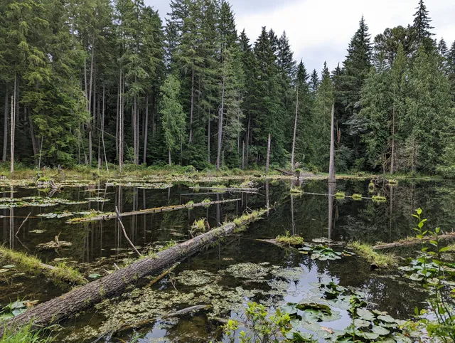 Redmond Watershed Preserve