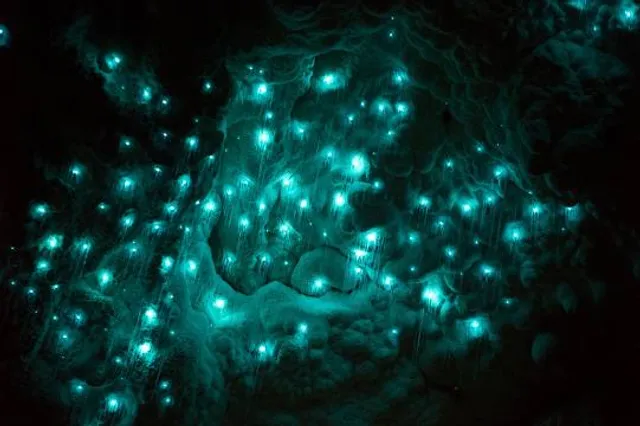 Kawiti Glowworm Caves