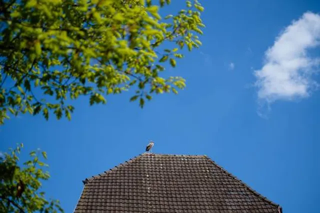 Infozentrum Witi, Altreu