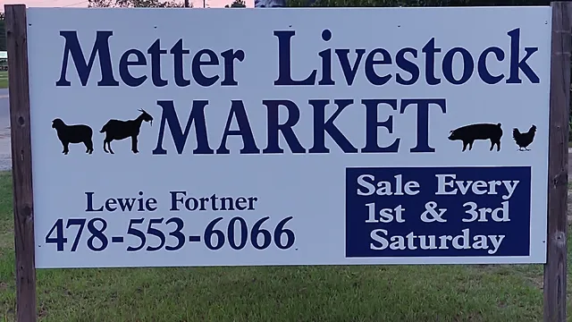 Metter Livestock Market