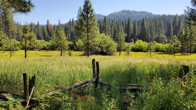 Wawona Meadow Loop Trailhead