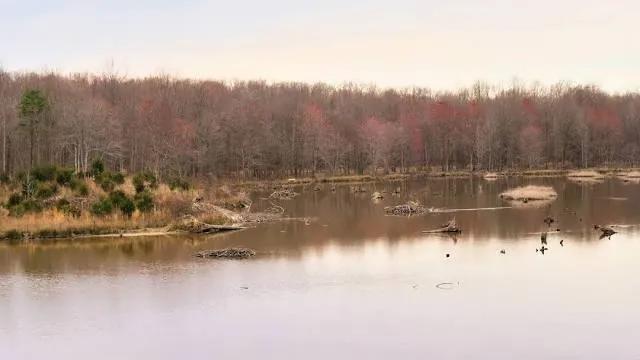 Huntley Meadows Park