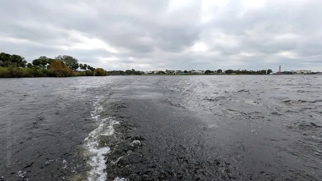 Lake Sumter Landing Boat Tour