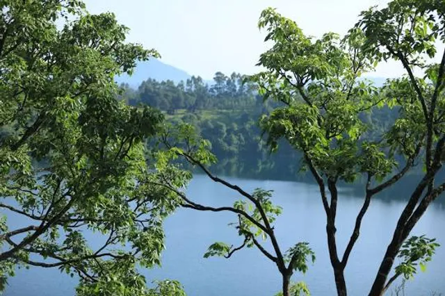 place image