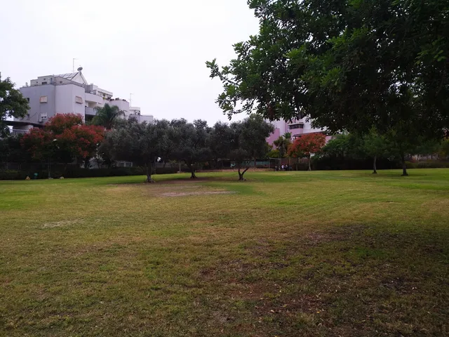 photo-3