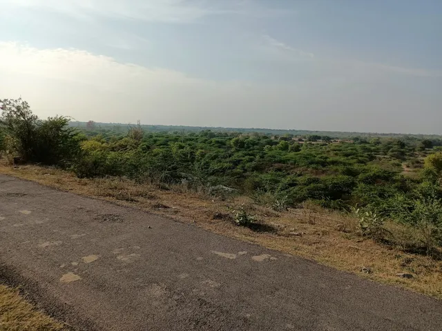 place image
