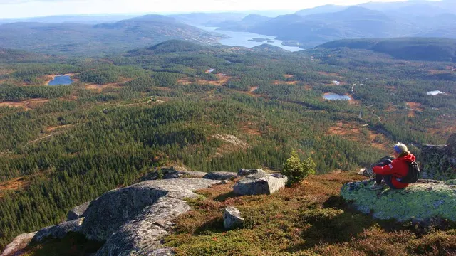 photo-1