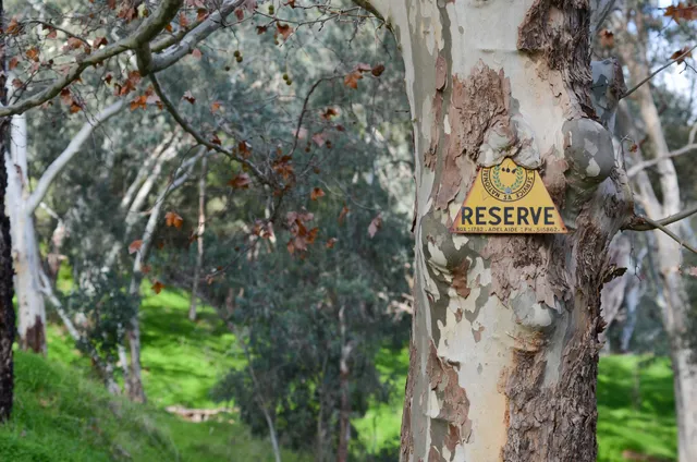 Brownhill Creek Recreation Park