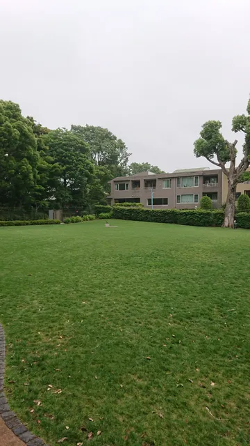 photo-1