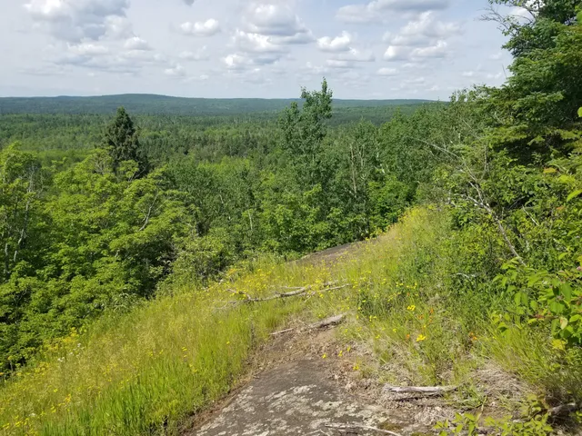 Britton Peak Trailhead