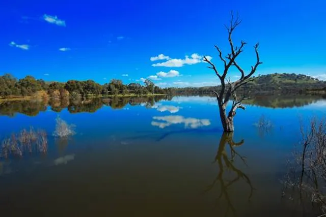 Lake Eildon National Park
