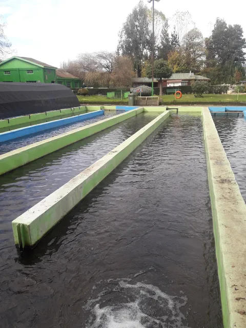 Piscicultura de Lautaro.
