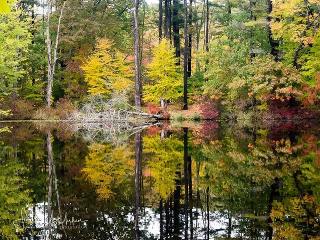 Branford Supply Ponds