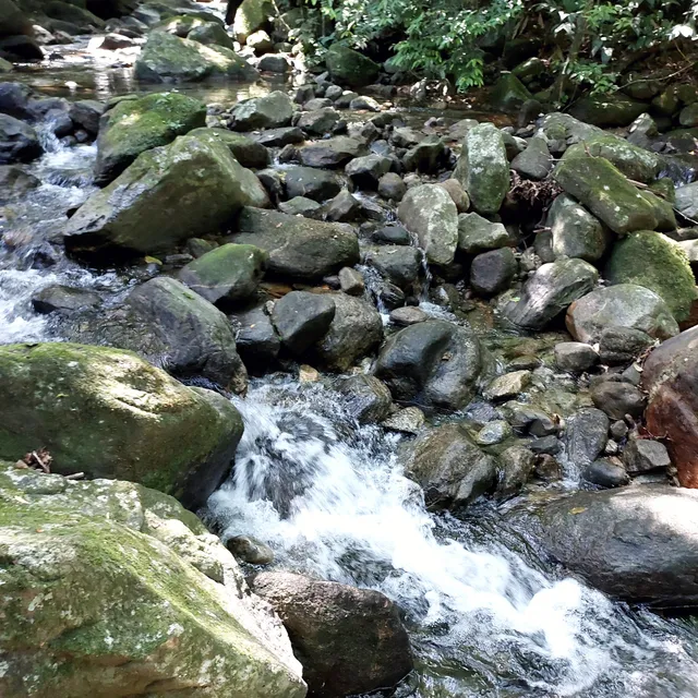 Parque da Serra da Caneca Fina