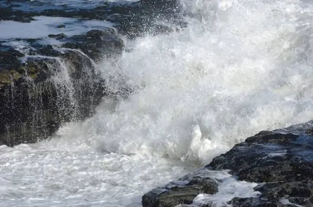 Viešvilė fish ladder