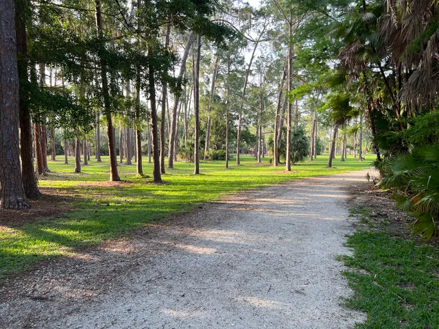 Taylor Park Disc Golf Course