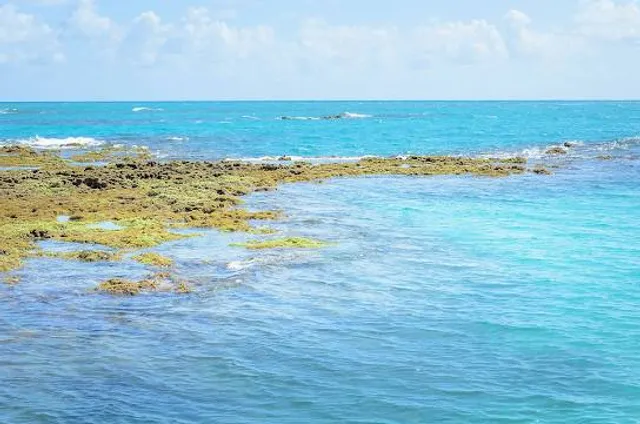 photo-1