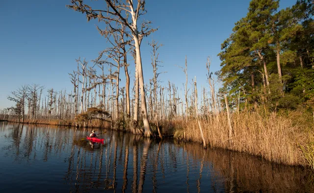 Brunswick Nature Park