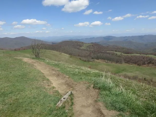 Max Patch