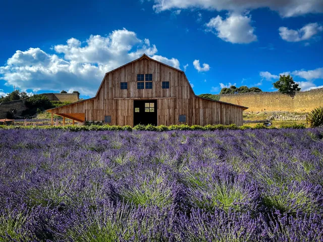 El Granero de San Francisco